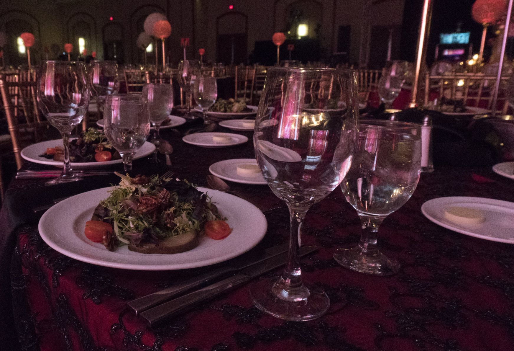 020120-RED-Gala-21.JPG